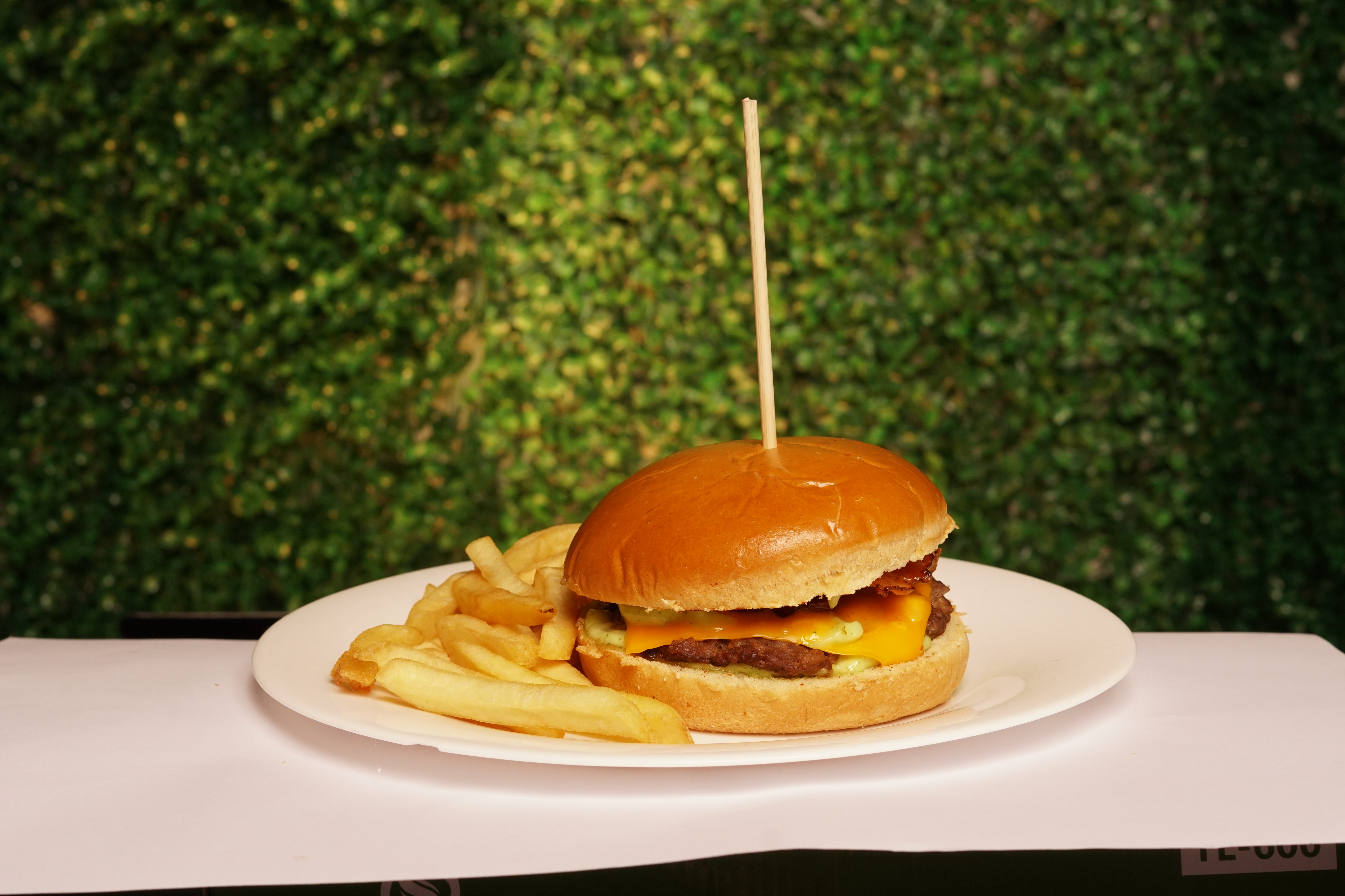 LANCHES ESPECIAIS